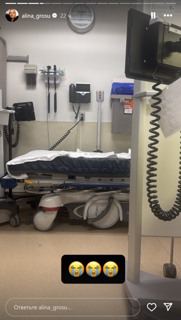 Сториз Аліни Гросу