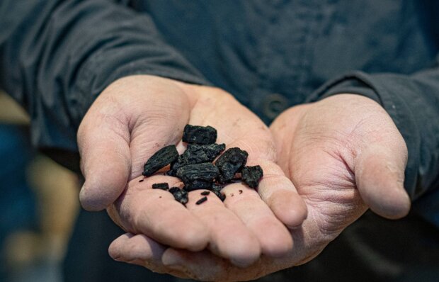 Під Стіною Плачу виявили ритуальну купіль з попелом, кадр з відео