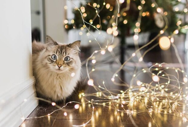 Гороскоп, зображення: Pinterest