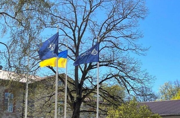 "Приєднання України посилить ефективність Кіберцентру НАТО", – нардеп Пушкаренко
