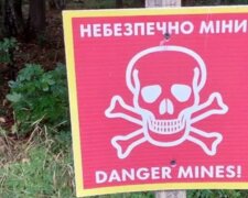 Воины нашли мину под грибом в Украине