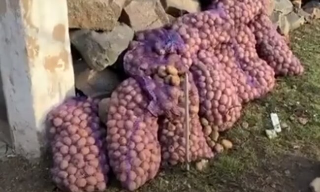 Мішки з картоплею: скрін з відео