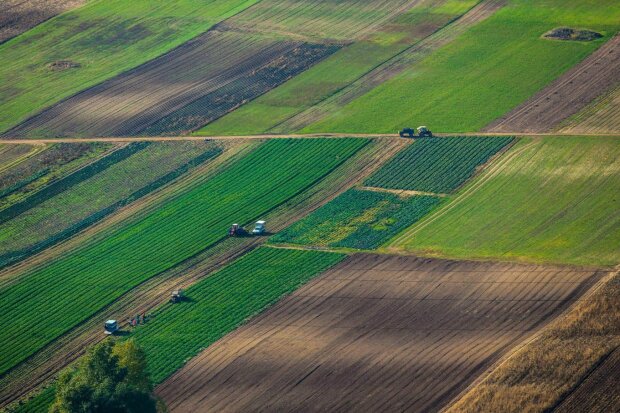 Дадуть додаткові городи: українцям пообіцяли нові земельні ділянки