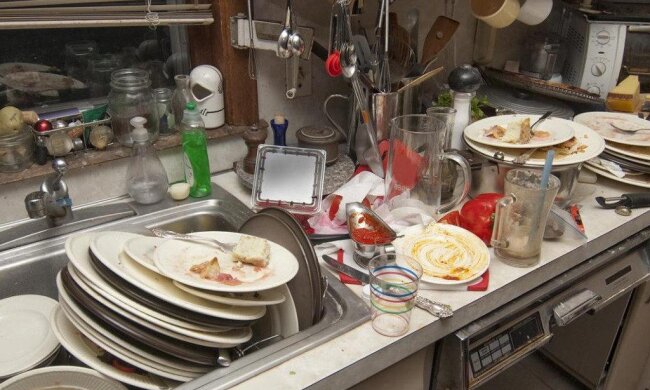 Цей засіб не зрівняється з хімією: як позбутися тарганів у будинку раз і назавжди