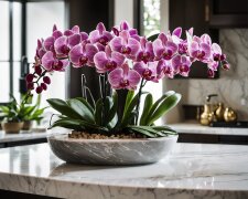 Метод "двох тижнів": що потрібно зробити, щоб орхідея постійно радувала пишними квітами