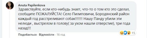 Коментар. Фото: скріншот facebook.com/dtp.kiev.ua