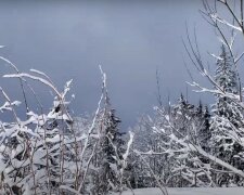 Сніг.  Фото: скріншот YouTube-відео