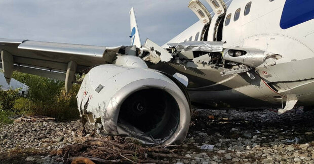 Авиакатастрофа, фото: скриншот