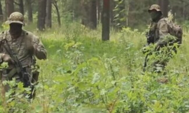 Волонтеры начали снабжать ВСУ анти-ланцетными сетками: будет ли поддержка Минобороны для защиты наших ребят
