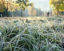 Заморозки в Украине