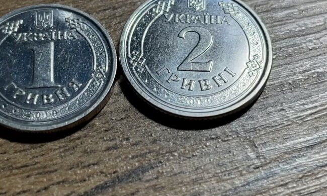 Українські монети. Фото: YouTube