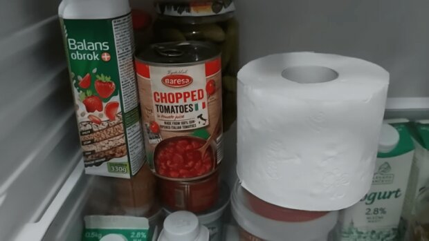 Як за допомогою рулону туалетного паперу позбутися відразу двох проблем у холодильнику