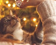 Гороскоп, зображення: Pinterest