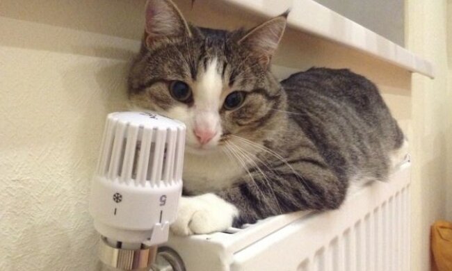 Окончание отопительного сезона, фото: youtube.com