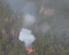 Б'ють нечисть: ЗСУ випалюють ворожі колони в лісах. Потужне відео