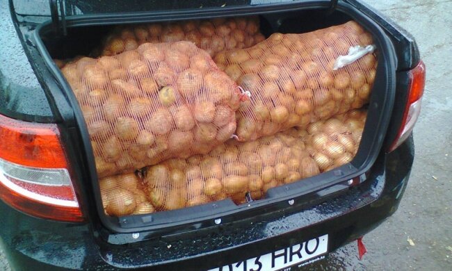 Не повторюйте цю помилку: як правильно возити мішки з картоплею в автомобілі