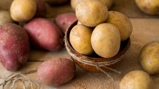 Ціни на картоплю не перестають дивувати: скільки зараз вона коштує і на що чекати