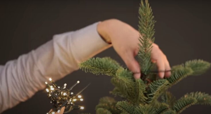 Новорічна ялинка. Фото: скріншот YouTubе