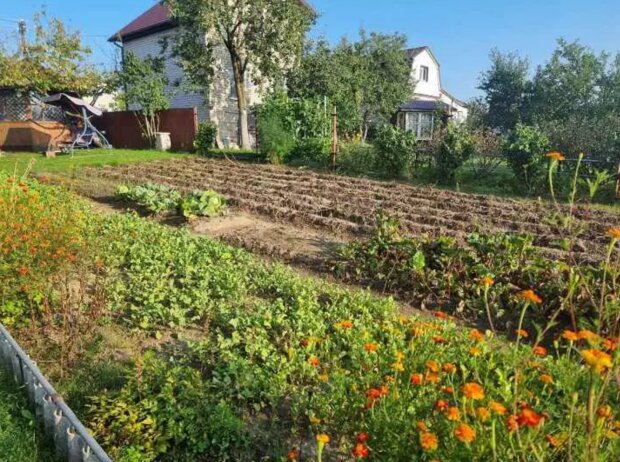 Город, зображення з вільних джерел