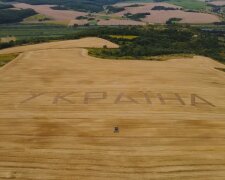 Визволення окупованих територій України. Фото: YouTube