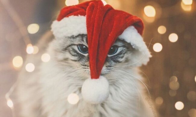 Гороскоп, зображення: Pinterest