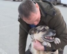 Собака с хозяином. Фото: скриншот Youtube-видео