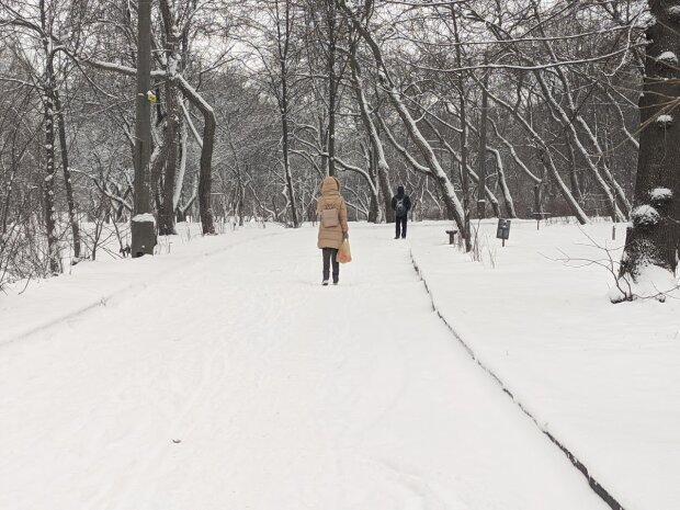 Когда 40 см – это много: украинцев напугали невероятными осадками. Мороз шандарахнет до -24