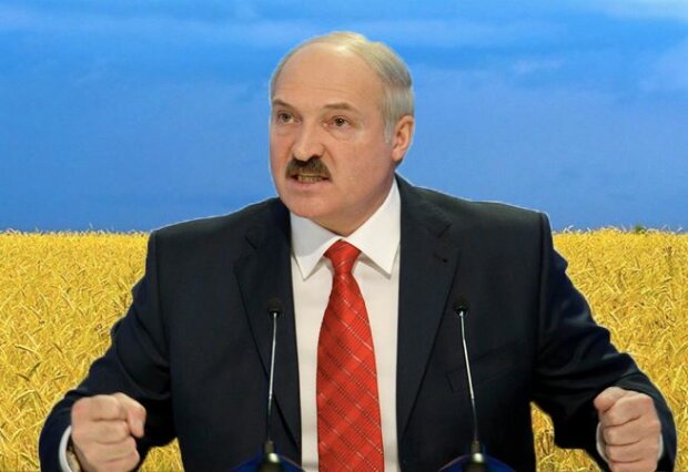 Лукашенко сорвался на Зеленского: нефиг было лезть в наш огород! В Украине выборы проиграны