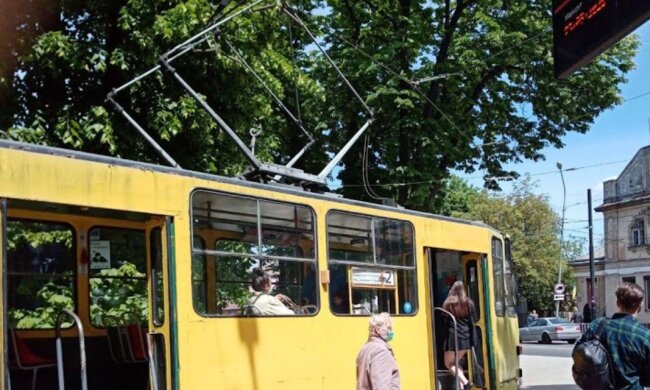 Казино на колесах. У Луцьку водії грають у карти просто під час руху. Відео