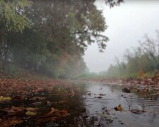 Погода