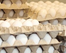 Куриные яйца. Фото: YouTube