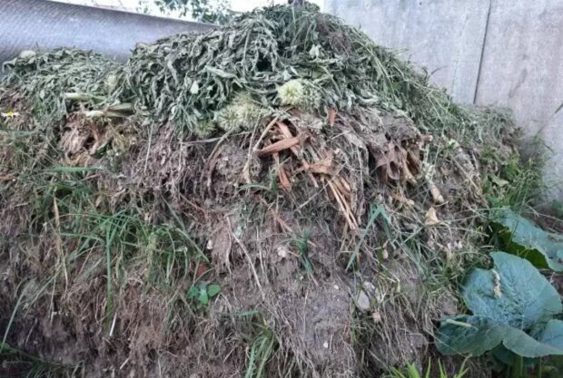 Компост, кадр из видео