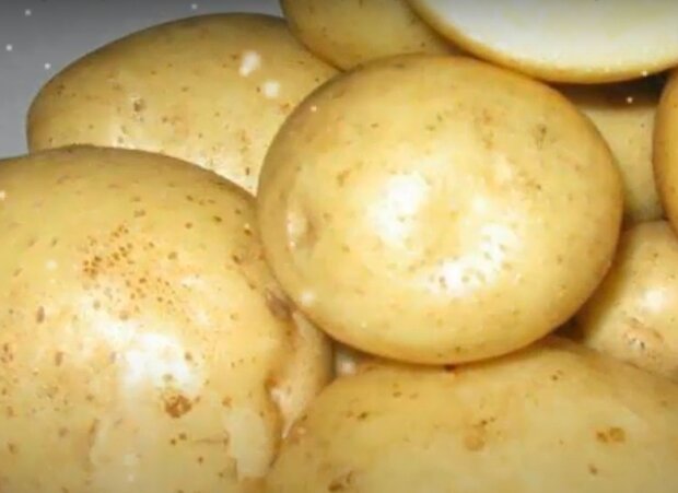 Обычный картофель может медленно отравлять ваш организм: врач указал на важный нюанс. Должны знать все