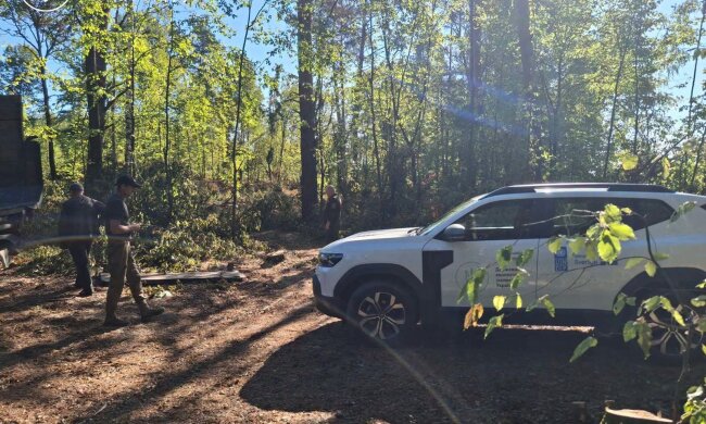 Понад 1300 спиляних дерев і 11 мільйонів збитків: на Житомирщині спіймали «чорних лісорубів» з повною машиною деревини