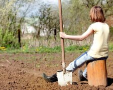 Метод "одной ложки": что нужно сделать, чтобы земля на огороде стала воздушной и плодородной