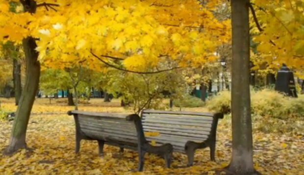 Осень в Киеве. Скриншот видео