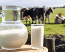 А ведь об этом предупреждали: в Украине цены на молоко бьют рекорды