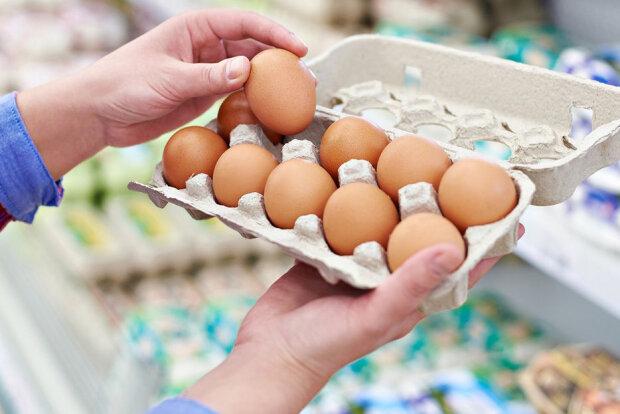 Де найвигідніше купувати яйця, що подорожчали
