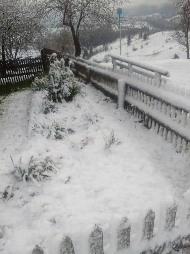 Сніг у травні. Фото: telegram-канал Інсайдер UA