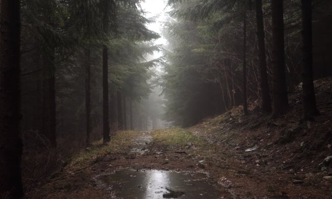 Постоянные грозы и духота. Украинцам рассказали о погодных сюрпризах