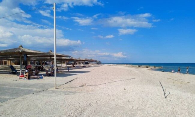 Море на известном украинском курорте превратилось в зеленое болото. Фото