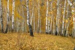 Погода в Україні. Фото: YouTube