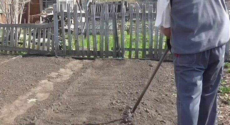 Підживлення землі восени, фото: youtube.com