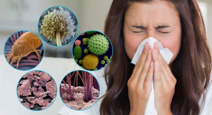 Алергія, зображення із вільних джерел