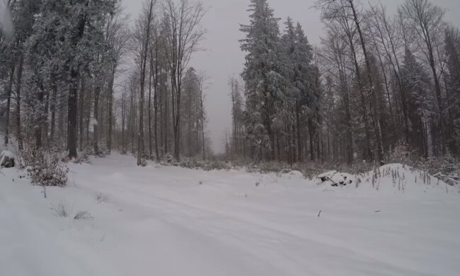 Дети лепят снеговиков и катаются на санях: календарная зима накрыла Карпаты. Фото покорили сеть