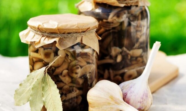 Мариновані опеньки, фото: youtube.com