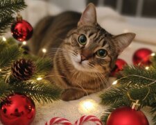 Новий рік, фото: Pinterest