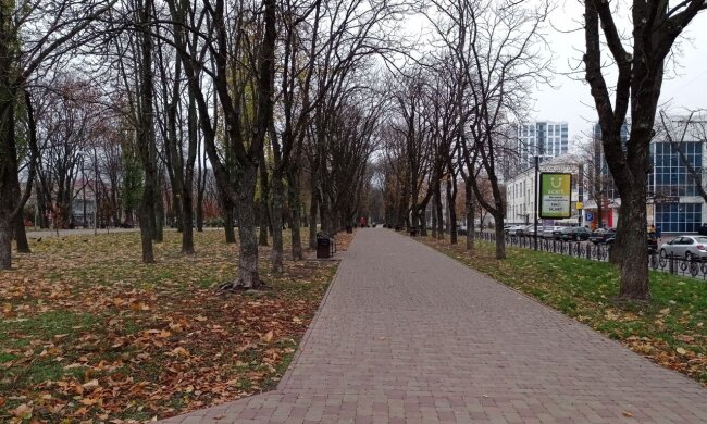 Перший мокрий сніг і дощі. Осені майже не буде. Прогноз