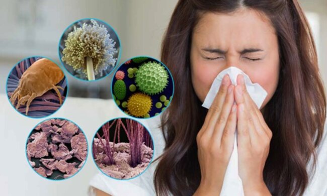 Аллергия, изображение из свободных источников