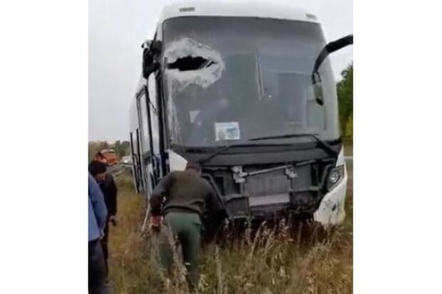 Водителя напоили: в России автобус с мобилизованными улетел в кювет. Видео аварии